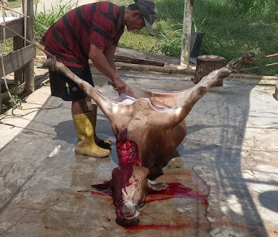SIJI Aceh Minta KPK Usut Dugaan Penyelewengan Dana Bantuan Megang Pemko Langsa