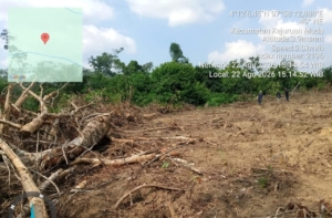 Dugaan Alih Fungsi Kawasan Hutan Jadi Lahan PSR, Kegiatan Koperasi di Pulau Tiga Disorot Tajam