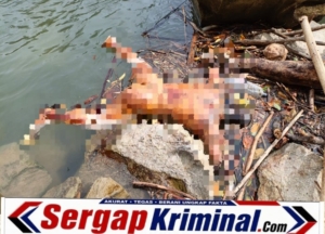 Sat Reskrim Polres Subulussalam Evakuasi dan Identifikasi Penemuan Jenazah Pria Tanpa Identitas di Sungai Lae Kombih
